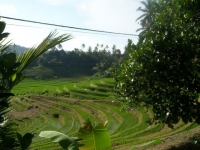 Bali070.jpg